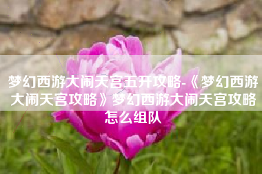 梦幻西游大闹天宫五开攻略-《梦幻西游大闹天宫攻略》梦幻西游大闹天宫攻略怎么组队