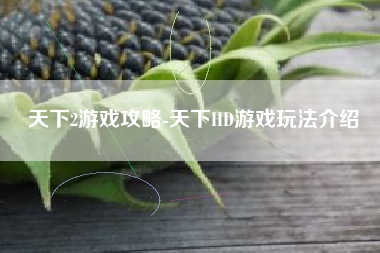 天下2游戏攻略-天下HD游戏玩法介绍