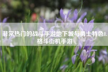 非常热门的战斗手游地下城与勇士特色1.格斗街机手游