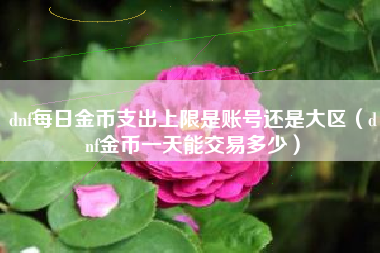 dnf每日金币支出上限是账号还是大区（dnf金币一天能交易多少）