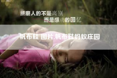 帆布鞋 图片,帆布鞋蚂蚁庄园