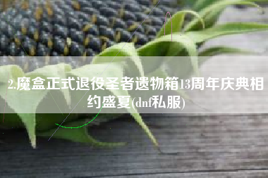 2.魔盒正式退役圣者遗物箱13周年庆典相约盛夏(dnf私服)