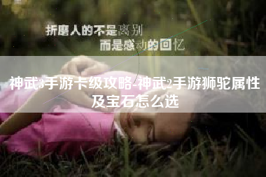 神武3手游卡级攻略-神武2手游狮驼属性及宝石怎么选