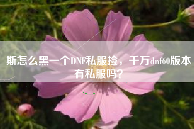 斯怎么黑一个DNF私服捡，千万dnf60版本有私服吗？