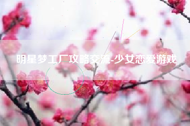 明星梦工厂攻略交流-少女恋爱游戏