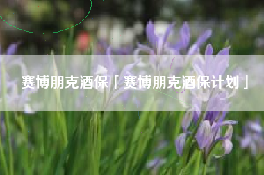 赛博朋克酒保「赛博朋克酒保计划」