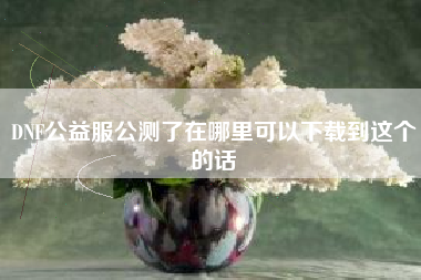 DNF公益服公测了在哪里可以下载到这个的话