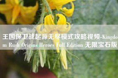 王国保卫战起源无尽模式攻略视频-Kingdom Rush Origins Heroes Full Edition 无限宝石版