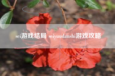 sei游戏结局 seiyuudanshi游戏攻略