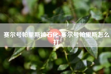 赛尔号帕里斯被石化-赛尔号帕里斯怎么打