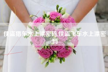侠盗猎车水上漂密码,侠盗飞车水上漂密码