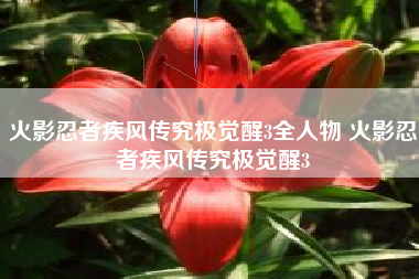 火影忍者疾风传究极觉醒3全人物 火影忍者疾风传究极觉醒3