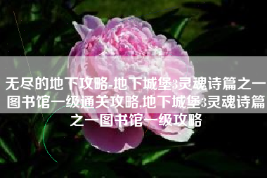 无尽的地下攻略-地下城堡3灵魂诗篇之一图书馆一级通关攻略,地下城堡3灵魂诗篇之一图书馆一级攻略