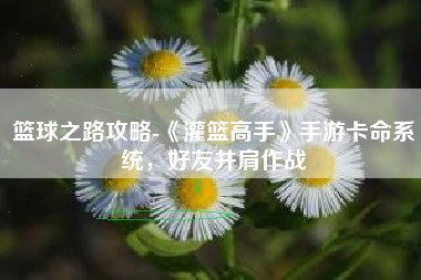 篮球之路攻略-《灌篮高手》手游卡命系统，好友并肩作战