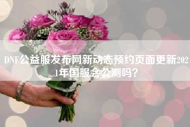 DNF公益服发布网新动态预约页面更新2021年国服会公测吗？