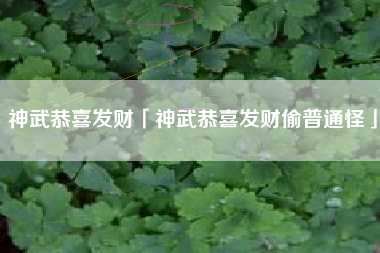 神武恭喜发财「神武恭喜发财偷普通怪」