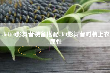 dnf100影舞者装备搭配-dnf影舞者时装上衣属性