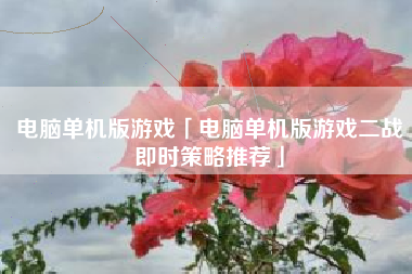 电脑单机版游戏「电脑单机版游戏二战即时策略推荐」