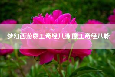 梦幻西游魔王奇经八脉,魔王奇经八脉