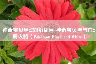 神奇宝贝黑2攻略1周目-神奇宝贝黑与白2周攻略（Pokémon Black and White）