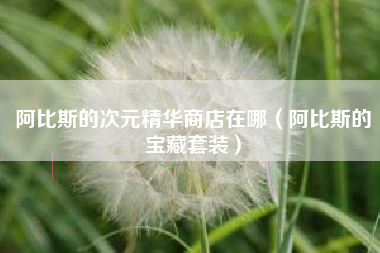 阿比斯的次元精华商店在哪（阿比斯的宝藏套装）