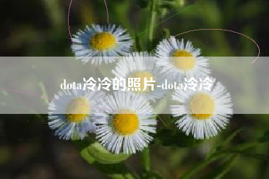 dota冷冷的照片-dota冷冷