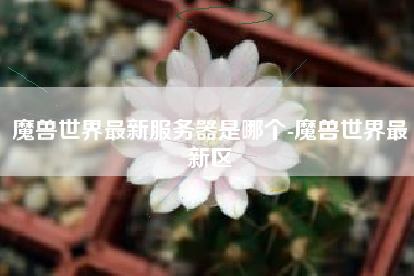 魔兽世界最新服务器是哪个-魔兽世界最新区