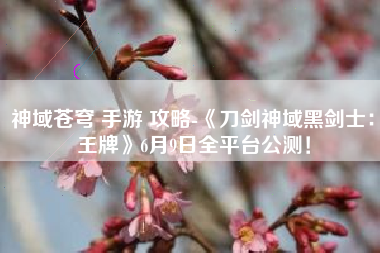 神域苍穹 手游 攻略-《刀剑神域黑剑士：王牌》6月9日全平台公测！