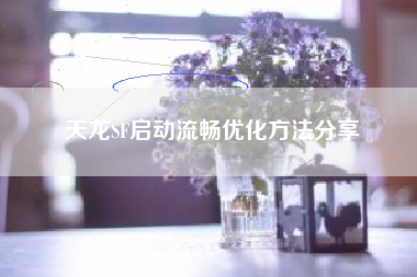 天龙SF启动流畅优化方法分享
