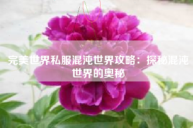 完美世界私服混沌世界攻略：探秘混沌世界的奥秘
