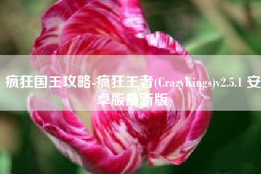 疯狂国王攻略-疯狂王者(CrazyKings)v2.5.1 安卓版最新版