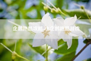 企鹅跑酷攻略-小企鹅跑酷游戏