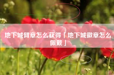 地下城臂章怎么获得「地下城徽章怎么佩戴」