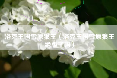 洛克王国雪原狼王（洛克王国雪原狼王绝版了吗）