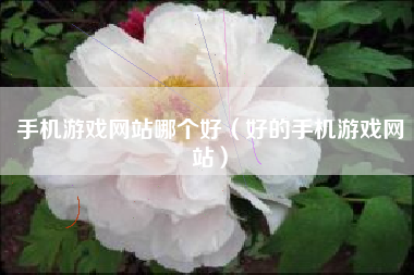 手机游戏网站哪个好（好的手机游戏网站）