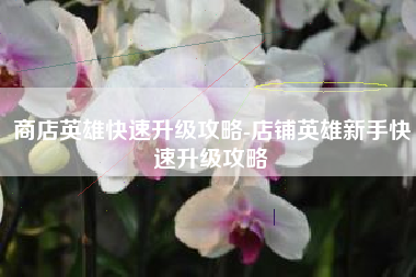 商店英雄快速升级攻略-店铺英雄新手快速升级攻略