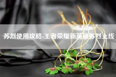 苏烈使用攻略-王者荣耀新英雄苏烈上线