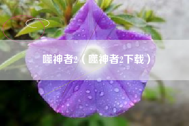 噬神者2（噬神者2下载）