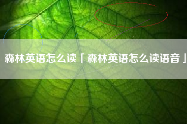 森林英语怎么读「森林英语怎么读语音」