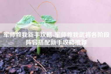 军师救我新手攻略-军师救我武将各阶段阵容搭配新手攻略推荐
