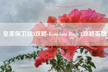 皇家保卫战3攻略-Kingdom Rush 2攻略英雄
