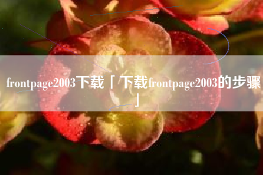 frontpage2003下载「下载frontpage2003的步骤」
