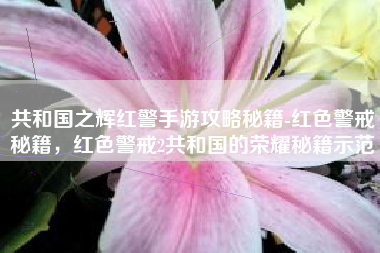 共和国之辉红警手游攻略秘籍-红色警戒秘籍，红色警戒2共和国的荣耀秘籍示范