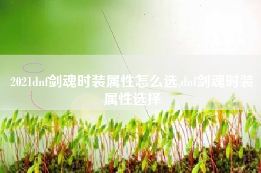 2021dnf剑魂时装属性怎么选,dnf剑魂时装属性选择