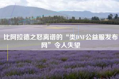 比阿拉德之怒离谱的“类DNF公益服发布网”令人失望
