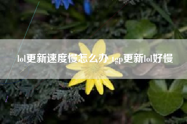 lol更新速度慢怎么办 tgp更新lol好慢