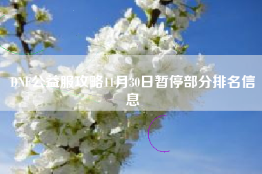 DNF公益服攻略11月30日暂停部分排名信息
