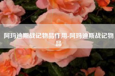 阿玛迪斯战记物品作用-阿玛迪斯战记物品