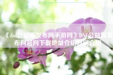 《dnf公益服发布网手游网》DNF公益服发布网官网下载地址介绍时间介绍