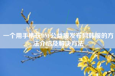 一个用手柄玩DNF公益服发布网韩服的方法介绍及解决方法
